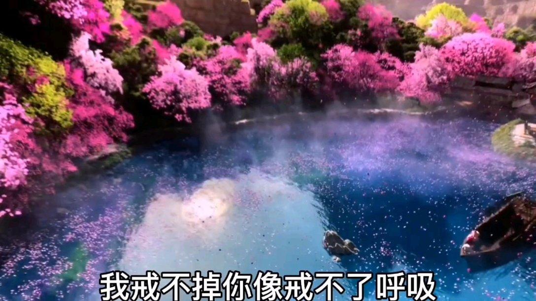 青海省第十四届人民代表大会第二次会议第二次全体会议召开