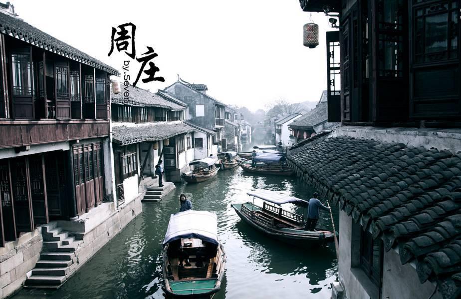 动物帮帮忙保卫家园